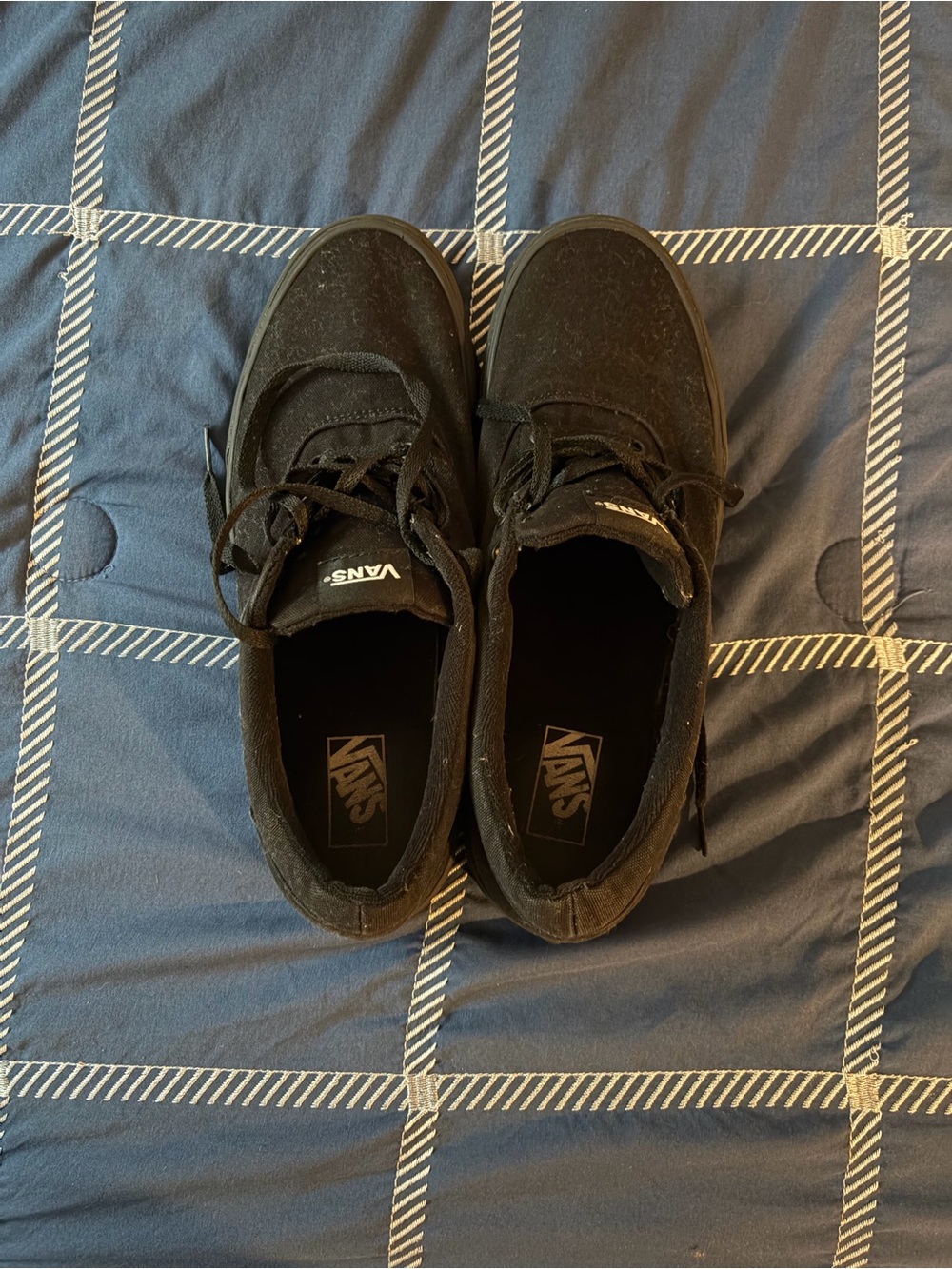 Vans Black Low-Top Black Sneakers